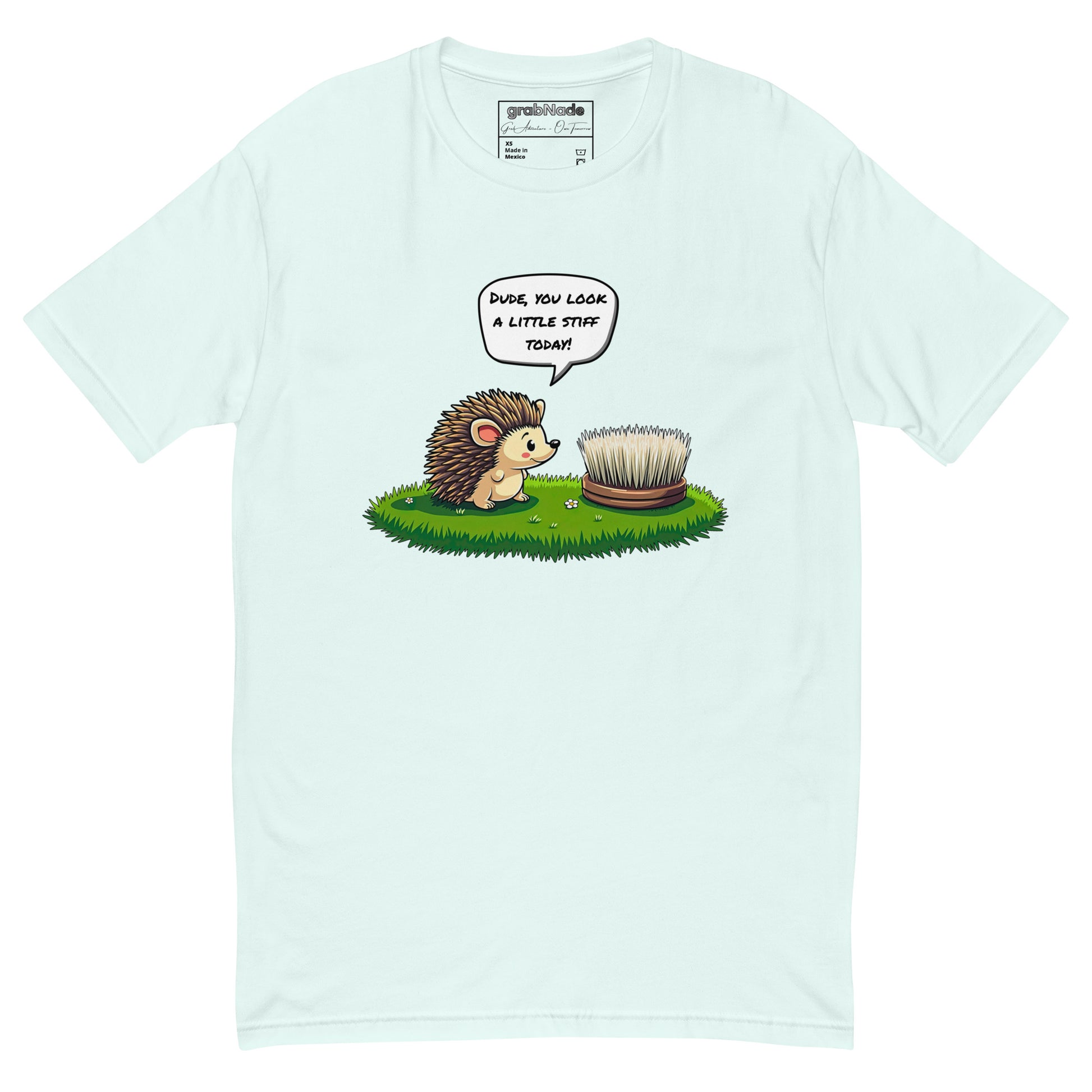 Product mockup. Man with short curly hair wearing a light blue t-shirt and jeans, shown from the front, printed with a cartoon hedgehog talking to a round brush and a humorous caption.